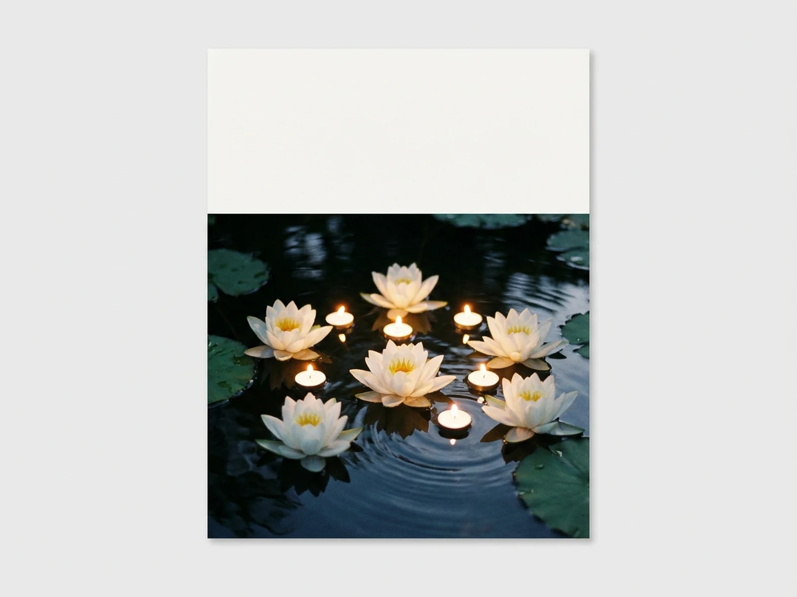 白色莲花与漂浮烛光构成的卫塞节宁静水面